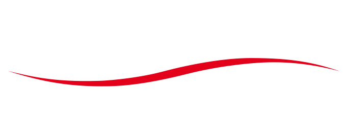 elexxion Logo white